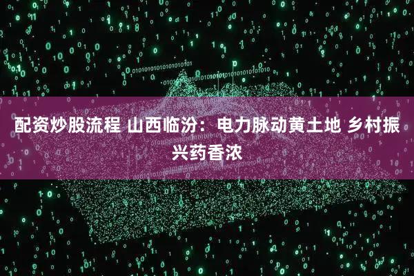 配资炒股流程 山西临汾：电力脉动黄土地 乡村振兴药香浓